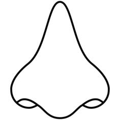 Nose