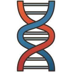 Dna structure