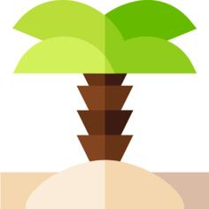 Oasis