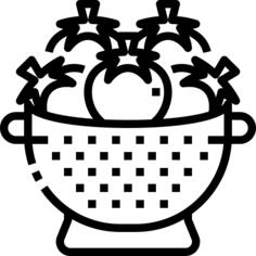 滤器