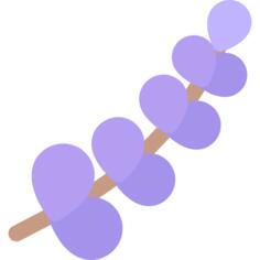 薰衣草