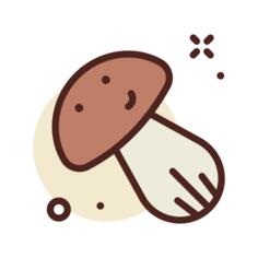 蘑菇