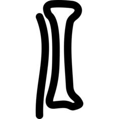 胫骨