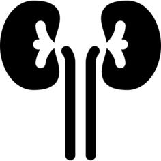 Kidneys