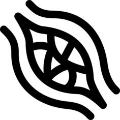 Capillaries
