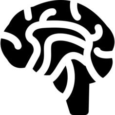 Brain