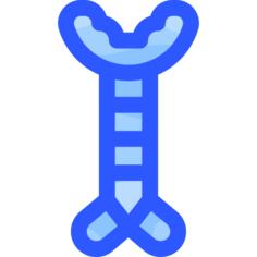 Trachea