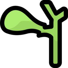 Gallbladder