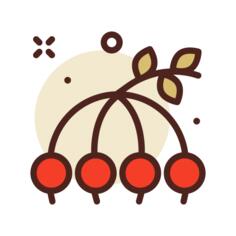 浆果