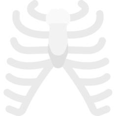 Ribs