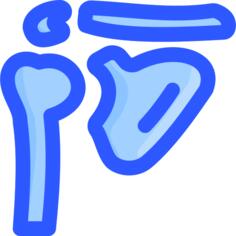 Shoulder blade
