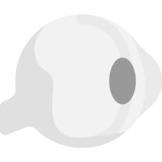 眼睛