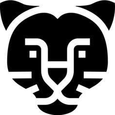 豹
