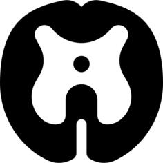Spinal cord