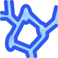 Lymph nodes
