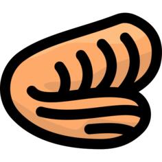 Cerebellum