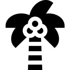 椰子树