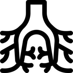 Bronchi