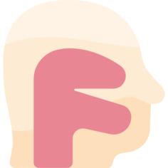 Pharynx