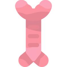 Trachea
