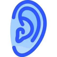 Ear