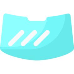 Windshield