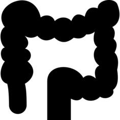 Colon