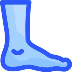 Foot