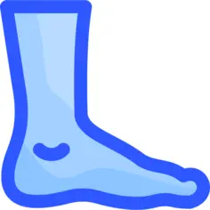 Foot