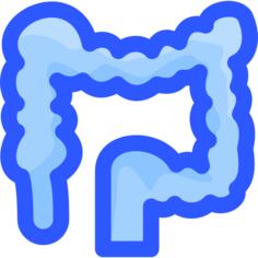 Colon