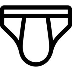 Briefs