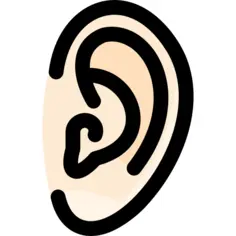 Ear