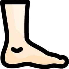 Foot