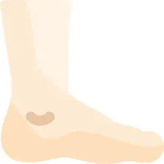Foot