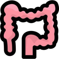 Colon
