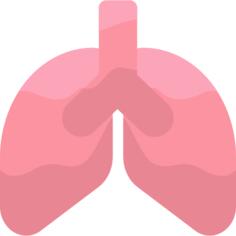 Lungs