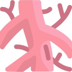 Arteries