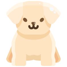 Puppy