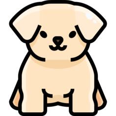 Puppy