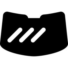 Windshield