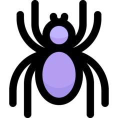 Spider