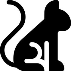 黑猫