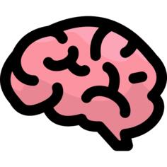 Brain