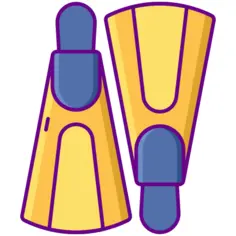 Fins