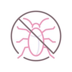 Cockroach