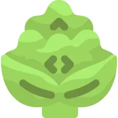 罗马花椰菜