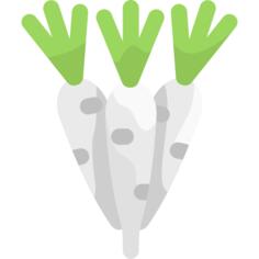 Radish
