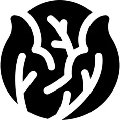 卷心菜