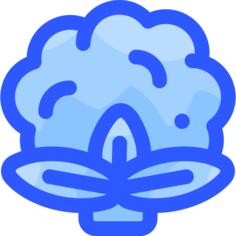 Cauliflower