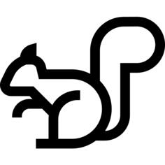松鼠